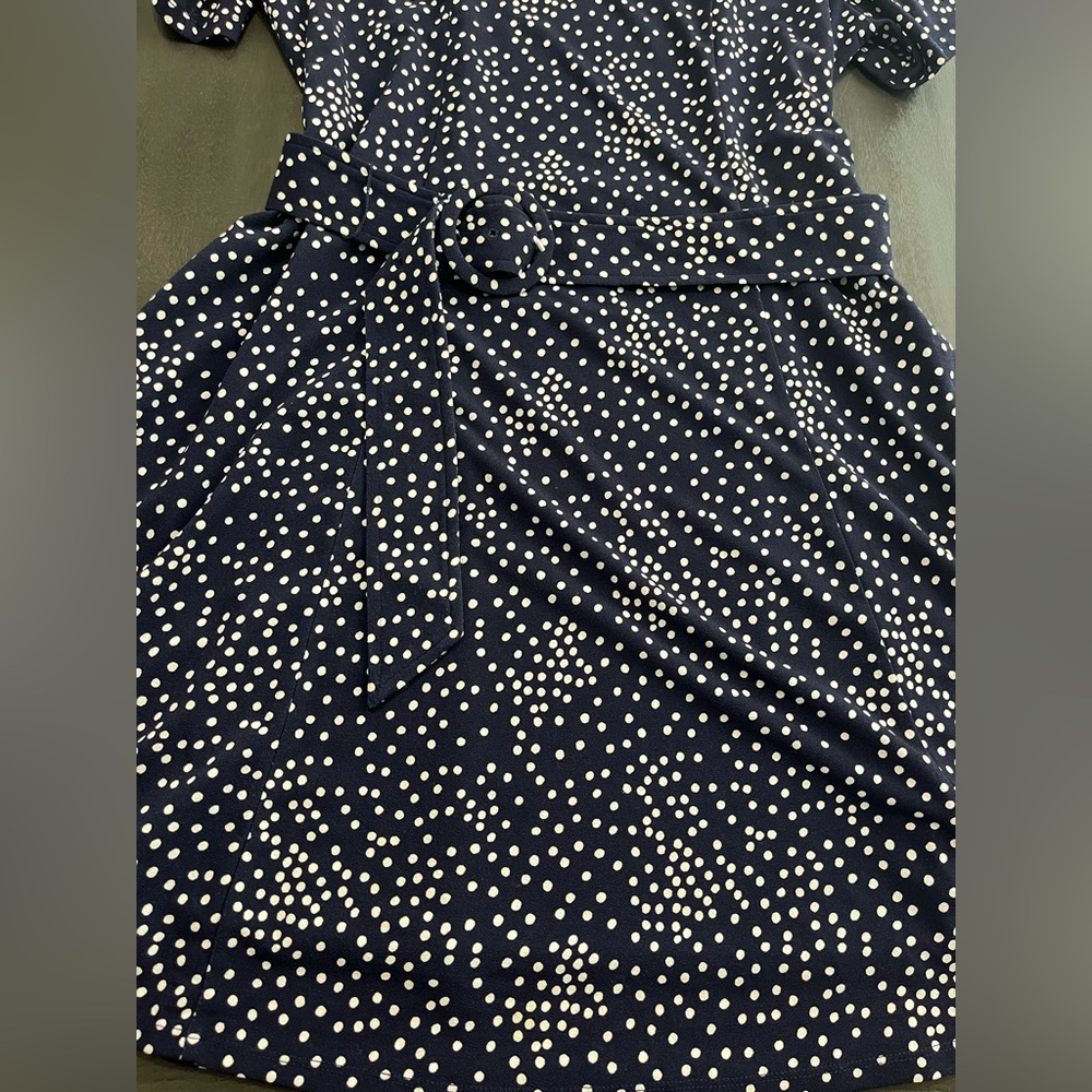 Laura Petites Size 12 Blue‎ & White Polkadot Belted Fit & Flare Dress - Picture 4 of 16